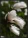 Photo Number 13